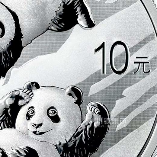 2022熊猫30克银币 首现40周年标识 商品图4