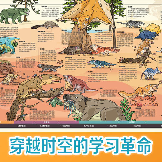 100种秘密系列墙书（全4册）5岁+ 1.8m思维导图长卷 一张纸讲透10亿年生物演化史 商品图3