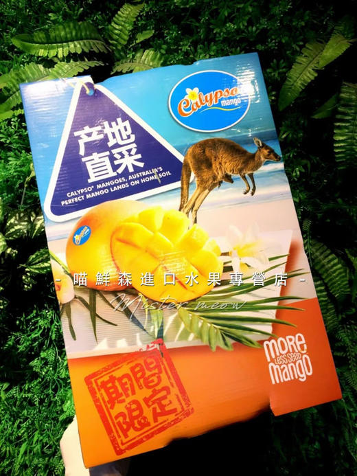 原装进口礼盒～澳洲珍珠芒礼盒💝 商品图5