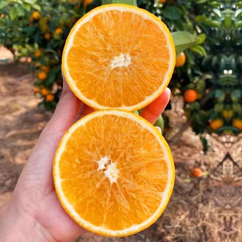 周六取货：【橙上良品赣南脐橙】一份5斤左右，果肉细腻，香气扑鼻！