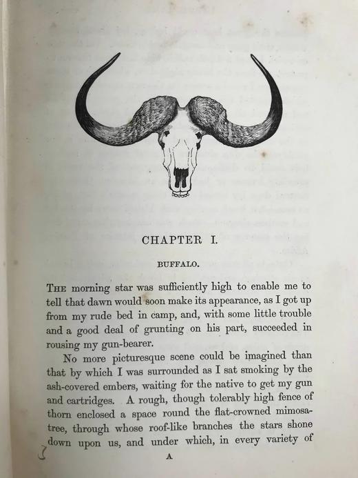 1875年 南非与东南非自然史 34幅插图 漆布精装大32开 商品图9