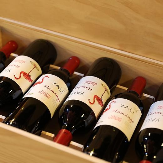 【连续3年智利一级庄】火烈鸟赤霞珠干红葡萄酒 智利中央山谷产区 商品图3