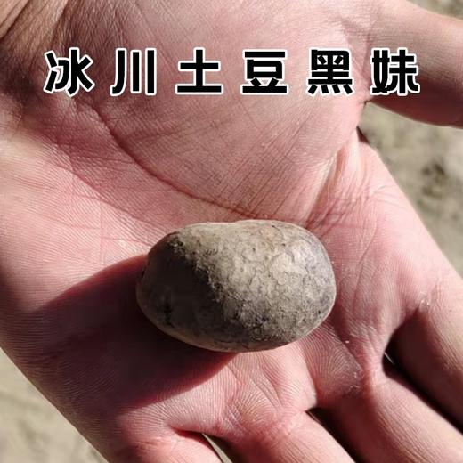 【助农专拍】帕米尔高原冰川土豆 5斤装【冰川土豆黑哥5斤】 商品图5