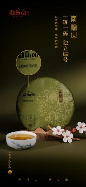 全球古茶第一村，不喝枉为爱茶人丨2021南糯山