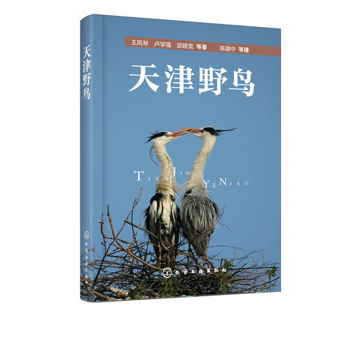 天津野鸟 常见野鸟图鉴 鸟类生态图片大全 鸟图鉴北京观鸟华北野鸟 鸟类摄影自然生态保护 大自然鸟类野外观鸟手册 野鸟科普书籍 商品图5