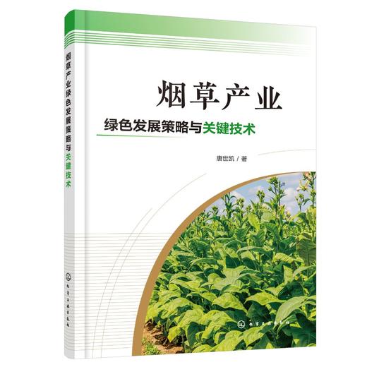烟草产业绿色发展策略与关键技术 烟草原料 烟草产业发展战略 烟草健康环境 病虫害防治 解析烟草产业绿色发展策略与关键技术书籍 商品图0