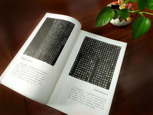 《魏碑六十四品》书法名家秦建中主编 学习专研临摹隶书楷书必备 值得收藏 我国南北朝时期北朝文字刻石书体【一艺之间 推荐】 商品图1