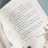 写给孩子的西游记 6-8-10岁少儿四大名著课外读物 中国四大名著连环画 一二三四年级小学生语文课外阅读 西游记白骨精小学生版书籍 商品缩略图3