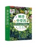 袖珍中草药野外识别图鉴 第二版 药用植物鉴别中国植物志 中华本草 中医药医师研究人员学生中草药爱好者参考工具书  中草药口袋书 商品缩略图0
