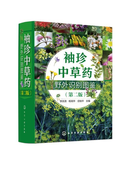 袖珍中草药野外识别图鉴 第二版 药用植物鉴别中国植物志 中华本草 中医药医师研究人员学生中草药爱好者参考工具书  中草药口袋书 商品图0