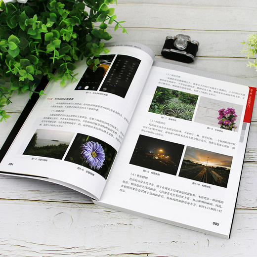 手机摄影与短视频从入门到精通 拍摄入门 光影构图 影像后期 创意短视频 趣味玩法 手机拍摄及后期制作宝典 手机拍摄技巧基础入门 商品图3