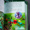袖珍中草药野外识别图鉴 第二版 药用植物鉴别中国植物志 中华本草 中医药医师研究人员学生中草药爱好者参考工具书  中草药口袋书 商品缩略图5