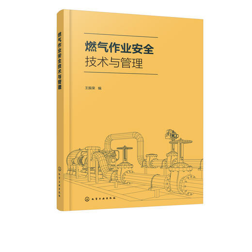 燃气作业安全技术与管理 煤气生产使用储存安全操作流程 新工艺新设备新安全操作方法 新安全管理方法 现代冶金焦化生产工艺流程书 商品图5