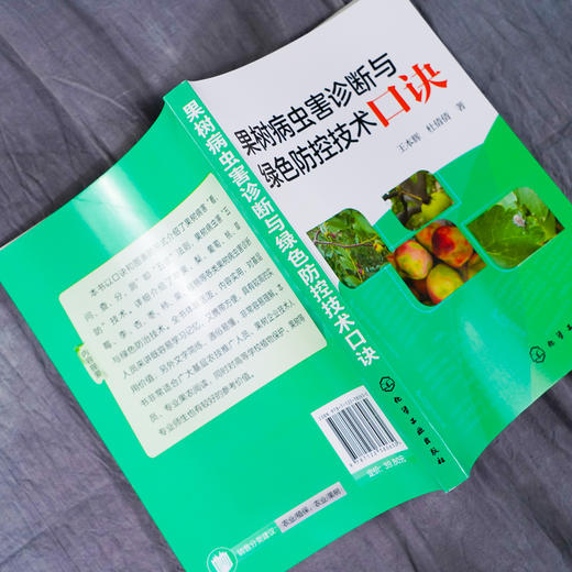 正版 果树病虫害诊断与绿色防控技术口诀 蔬菜病虫害防治技术经验防控药用技术 果树病害症状诊治防控 基层农技推广人员参考书籍 商品图4