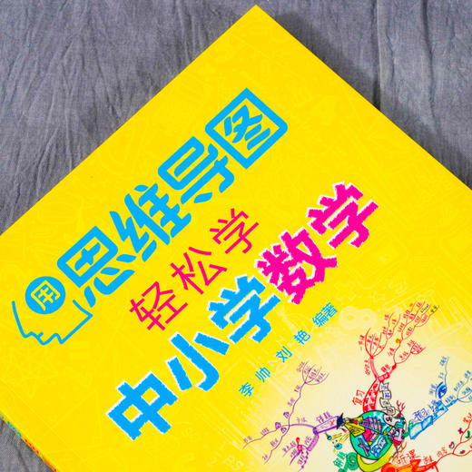 用思维导图轻松学中小学数学 12-15岁中学数学教材书籍 思维导图数学解题思路 中学数学练习册 思维导图学数学中学数学综合训练 商品图2