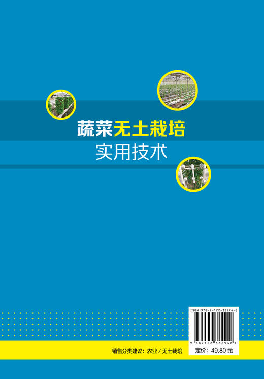 蔬菜无土栽培实用技术 无土栽培概念类型特点发展历史应用范围 无土栽培基地规划与环境调控技术 蔬菜作物无土栽培理论知识应用书 商品图1