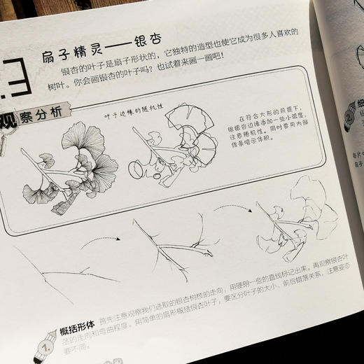 儿童绘画入门教程 全5册 儿童零基础自学绘画教材 动物花鸟蔬果山水画法 少儿学水墨画基础技法教材书 中国国画素描彩铅漫画教程书 商品图2