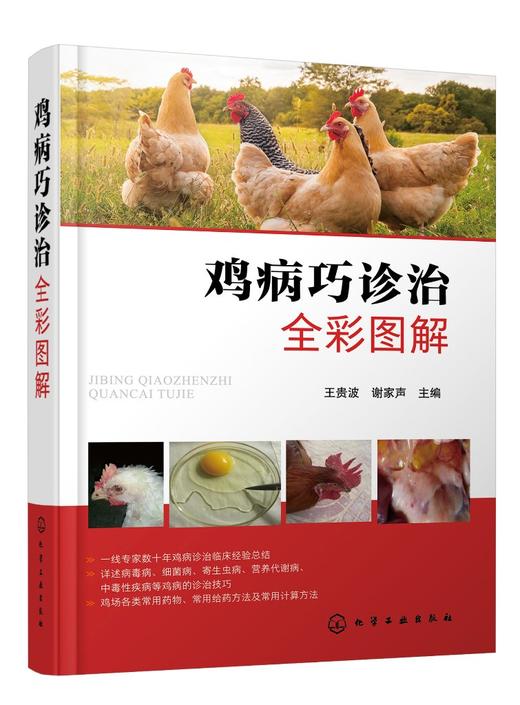 鸡病巧诊治全彩图解 鸡病防治书籍病毒病细菌病寄生虫病营养代谢病中毒性疾病鸡病诊治技巧常用药物给药及计算方法养鸡场兽医书籍 商品图0