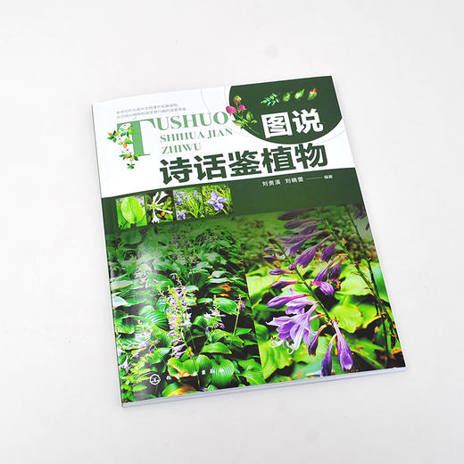 图说诗话鉴植物 植物图鉴 古诗词 辨识植物 植物的药用价值 植物环保价值 园林绿化设计栽培欣赏 同类或易混植物区别 植物学书籍 商品图2