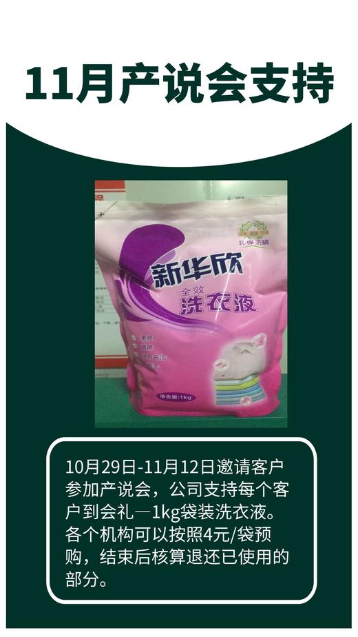 11月产说会支持-12袋洗衣液（1件）-1kg 商品图0