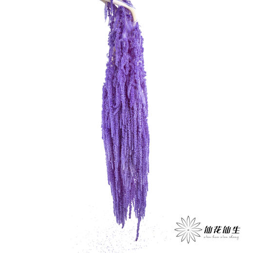 永生花材 ｜ 吊米水晶葡萄 商品图4