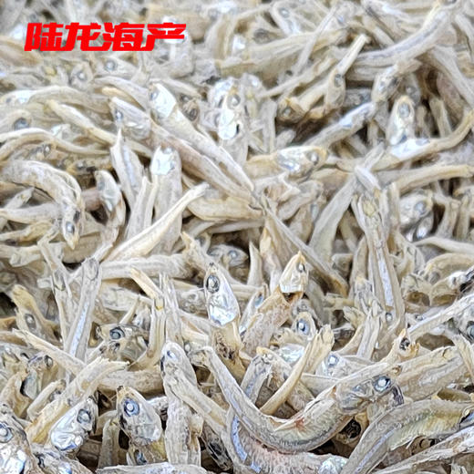 28090散装淡海蜒 商品图0