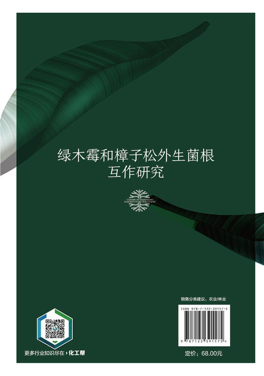 绿木霉和樟子松外生菌根互作研究 尹大川  樟子松高效外生菌根菌的筛选 外生菌根菌对樟子松的接种效应 林业生物菌肥基础研发书籍 商品图1