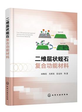 二维层状蛭石复合功能材料 纳米功能材料层状功能材料性质应用 复合功能材料层状功能材料概述 蛭石改性吸附催化方面技术应用书籍