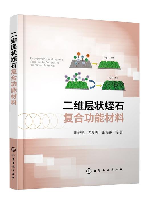 二维层状蛭石复合功能材料 纳米功能材料层状功能材料性质应用 复合功能材料层状功能材料概述 蛭石改性吸附催化方面技术应用书籍 商品图0