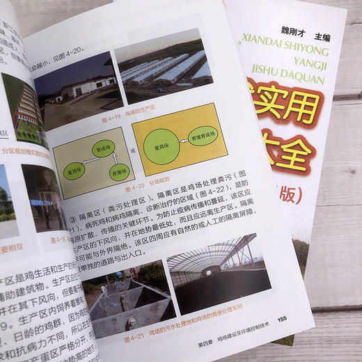 现代实用养鸡技术大全 第二版 一本看了就能养好鸡的书 养鸡入门一本通 全书彩色印刷 养鸡技术 鸡场疾病的防治技术 鸡场经营管理 商品图3