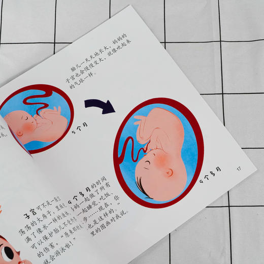 儿童性教育启蒙绘本 我要有弟弟妹妹啦 3-6岁宝宝低龄儿童性启蒙教育科普读物 培养安全意识自我保护好习惯养成 幼儿生理启蒙绘本 商品图4