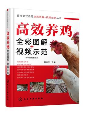 畜禽高效养殖全彩图解 视频示范丛书 高效养鸡全彩图解 视频示范 科学高效养鸡 养鸡技术 养鸡必备书籍 兽医 饲养管理人员应用书籍