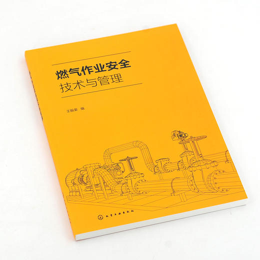 燃气作业安全技术与管理 煤气生产使用储存安全操作流程 新工艺新设备新安全操作方法 新安全管理方法 现代冶金焦化生产工艺流程书 商品图2
