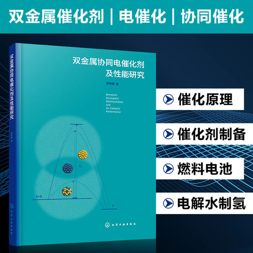 双金属协同电催化剂及性能研究 双金属协同催化 作用机理 催化剂制备与表征 甲醇氧化 析氧和氧还原 甲酸氧化 燃料电池 氢能源 商品图5