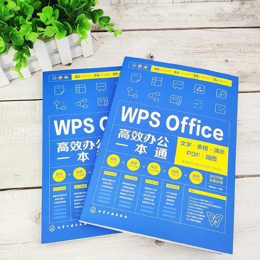 WPS教程书籍 Office办公软件零基础自学office wps从入门到精通 新手学电脑计算机办公软件入门到精通 wps函数表格制作教程书籍 商品图2