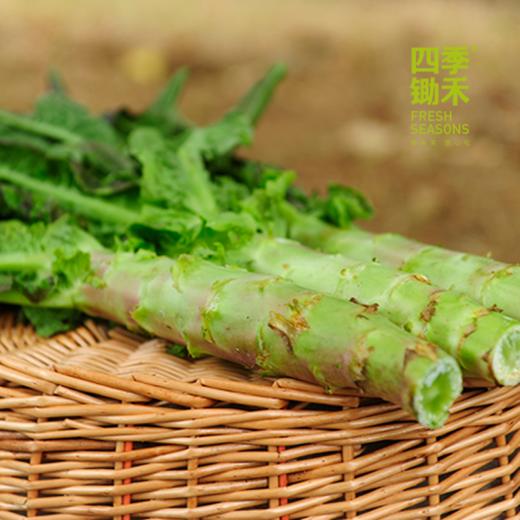莴笋（500g）红/白莴笋，新上来的莴笋有点细但很香哦~ 商品图2