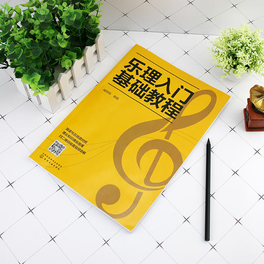 乐理入门基础教程 乐理基础知识音乐理论基础知识 五线谱入门书籍 五线谱与音符教程 乐理基础自学入门教程书 初级乐理应用书籍 商品图2