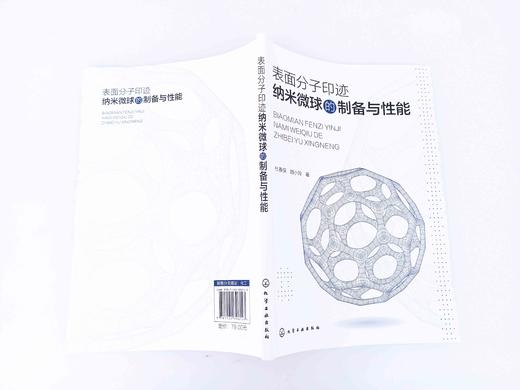 表面分子印迹纳米微球的制备与性能 论述多种纳米微球制备与性能表征的专著 不同结构纳米微球载体制备方法材料化学等科研人员用书 商品图2