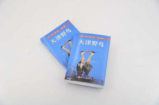 天津野鸟 常见野鸟图鉴 鸟类生态图片大全 鸟图鉴北京观鸟华北野鸟 鸟类摄影自然生态保护 大自然鸟类野外观鸟手册 野鸟科普书籍 商品图2
