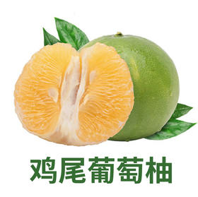 【果肉鲜嫩，汁水丰盈】云南熙园鸡尾葡萄柚礼盒