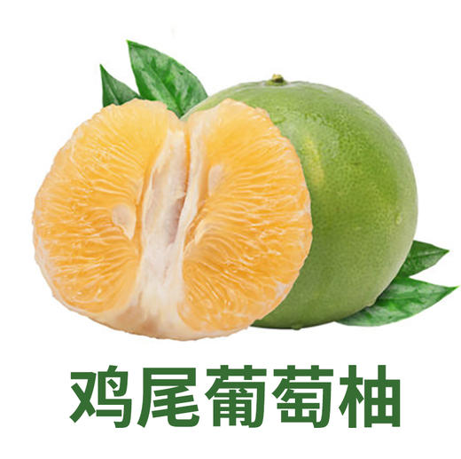 【果肉鲜嫩，汁水丰盈】云南熙园鸡尾葡萄柚礼盒 商品图0