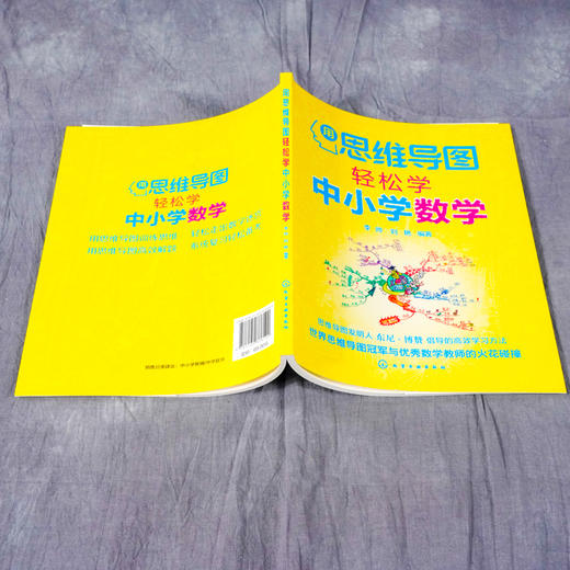 用思维导图轻松学中小学数学 12-15岁中学数学教材书籍 思维导图数学解题思路 中学数学练习册 思维导图学数学中学数学综合训练 商品图4