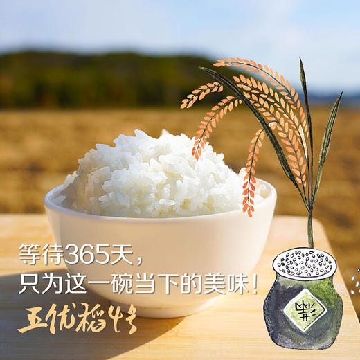 中粮初萃五常龙凤山稻花香大米5kg（新老包装随机发货） 商品图2