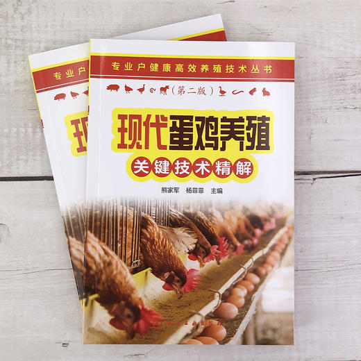 现代蛋鸡养殖关键技术精解 专业户健康高效养殖技术丛书 蛋鸡养殖孵化饲养疾病防治 蛋鸡养殖场建设管理 养殖专业户养鸡场参考书 商品图2
