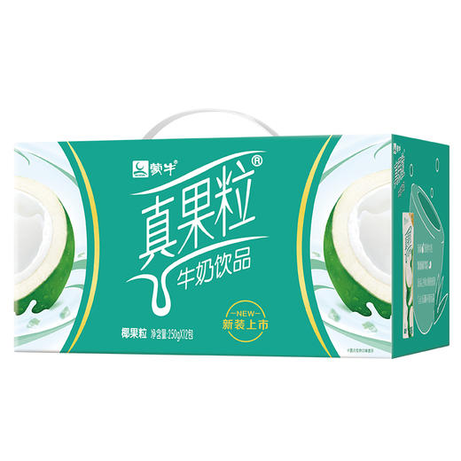 真果粒椰果粒250g×12盒 商品图2