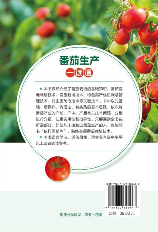 番茄生产一读通 西红柿优质栽培技术 番茄露地栽培番茄高效种植管理 番茄病虫害防治技术 专业菜农植保人员蔬菜企业技术人员参考书 商品图1