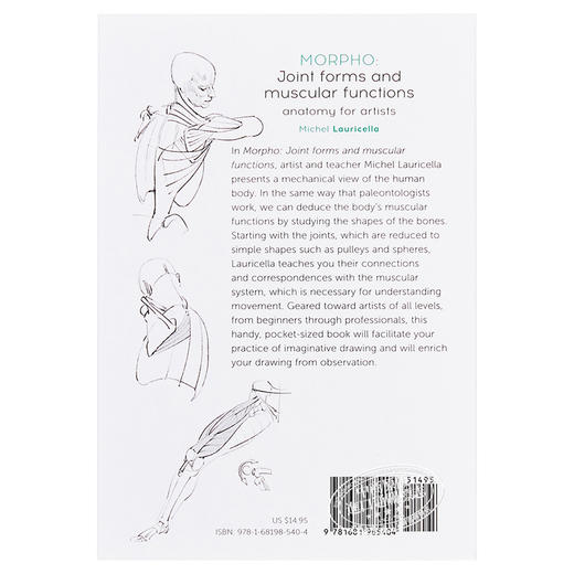 【中商原版】Morpho: Joint Forms and Muscular Functions 进口艺术 形态: 关节形式和肌肉功能 商品图1