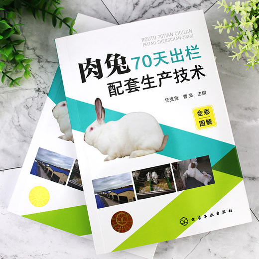 肉兔70天出栏配套生产技术 养兔技术 养兔技术书籍 全彩图解赠送视频 养兔生产者 兔群饲养管理技术 农业院校相关专业师生必选书籍 商品图3