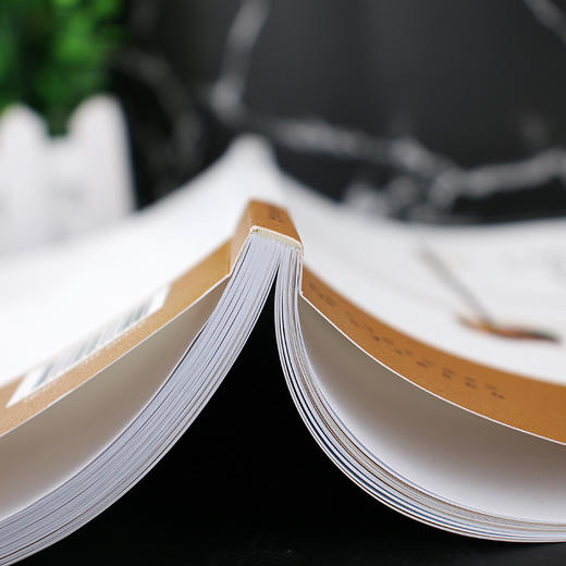 二胡自学一月通从入门到高手 3册 二胡零基础训练从入门到精通 手把手教你拉二胡 二胡基础知识演奏技巧 二胡教材基础自学入门书籍 商品图3