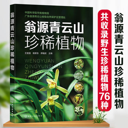 翁源青云山珍稀植物 青云山野生珍稀植物76种 图片清晰 介绍植物濒临程度 植物保护等级 地理分布 珍稀动物管理人员应用技术书籍 商品图5